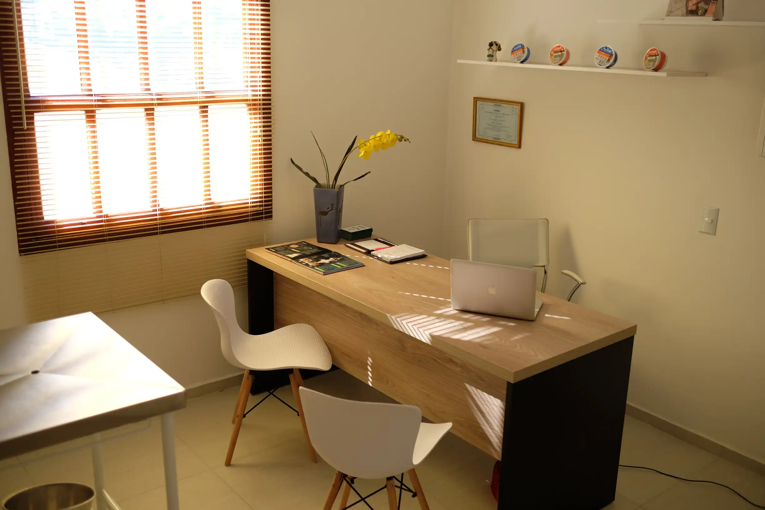 Galeria