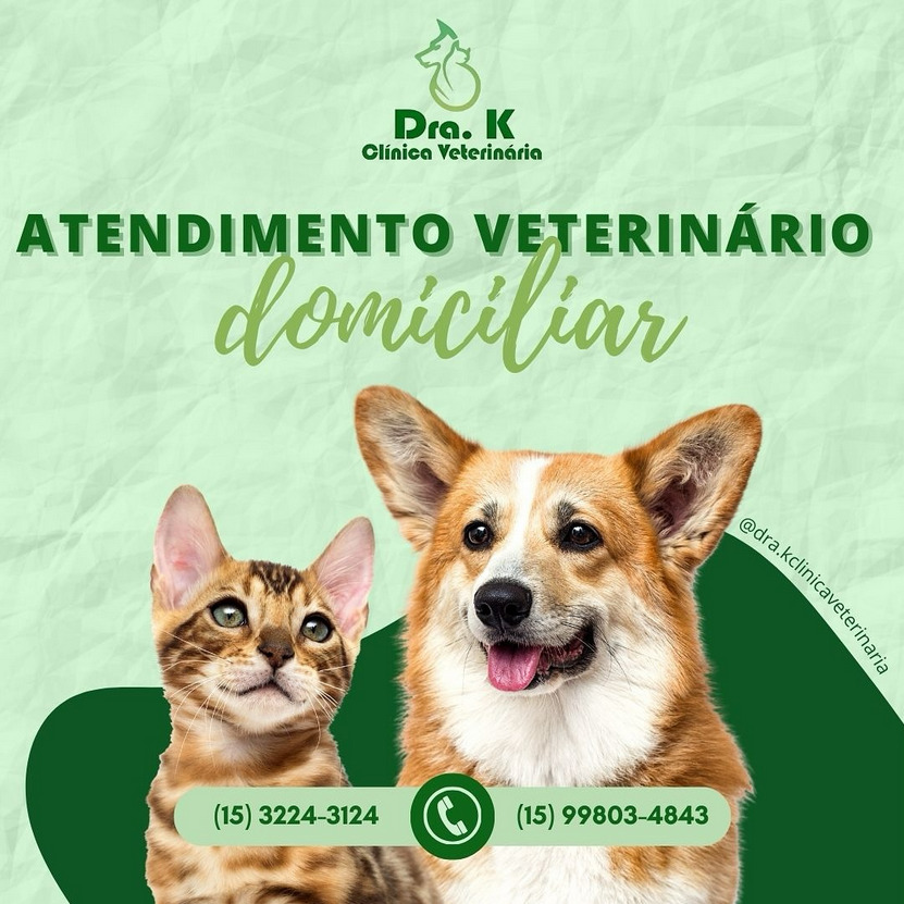 Post da Dra. K Clínica Veterinária sobre atendimento veterinário domiciliar, com um cachorro e um gato