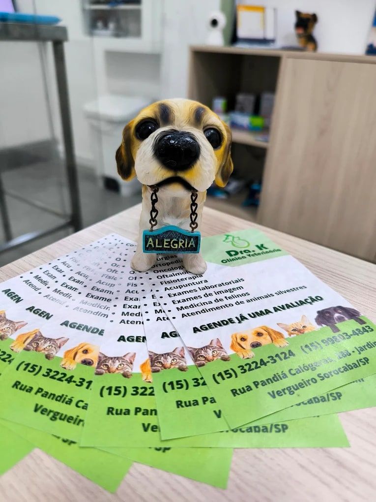 Post da Dra. K Clínica Veterinária com o mascote Alegria sobre os panfletos de serviços da clínica