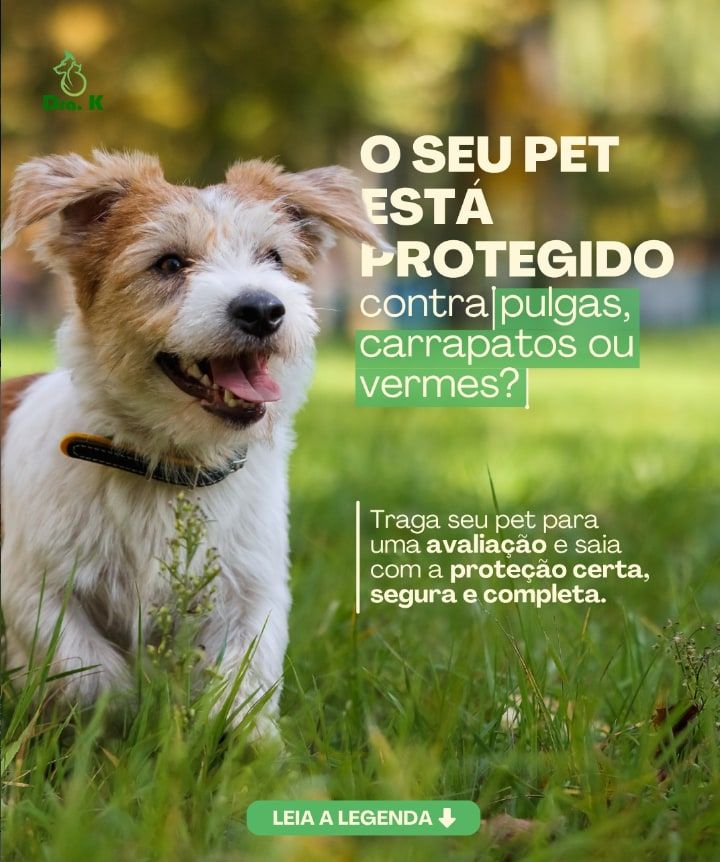 Post da Dra. K Clínica Veterinária sobre proteção contra pulgas, carrapatos e vermes, com um cachorro sorrindo na grama